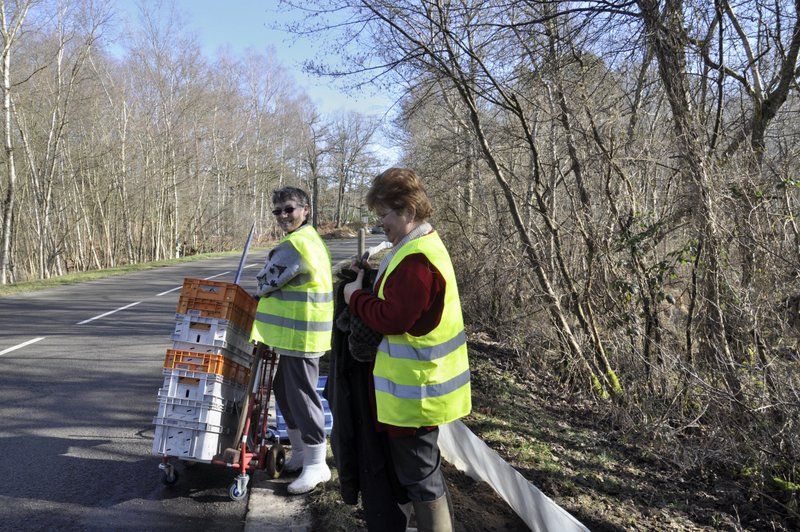 2013 02 25 Montage du crapaudrome 05